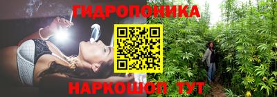молекула духа Камышлов