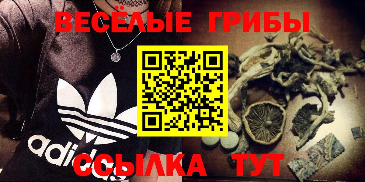 Псилоцибиновые грибы Psilocybe Морозовск