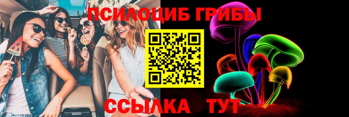 Морозовск  Псилоцибиновые грибы мухоморы  Вход с VPN 